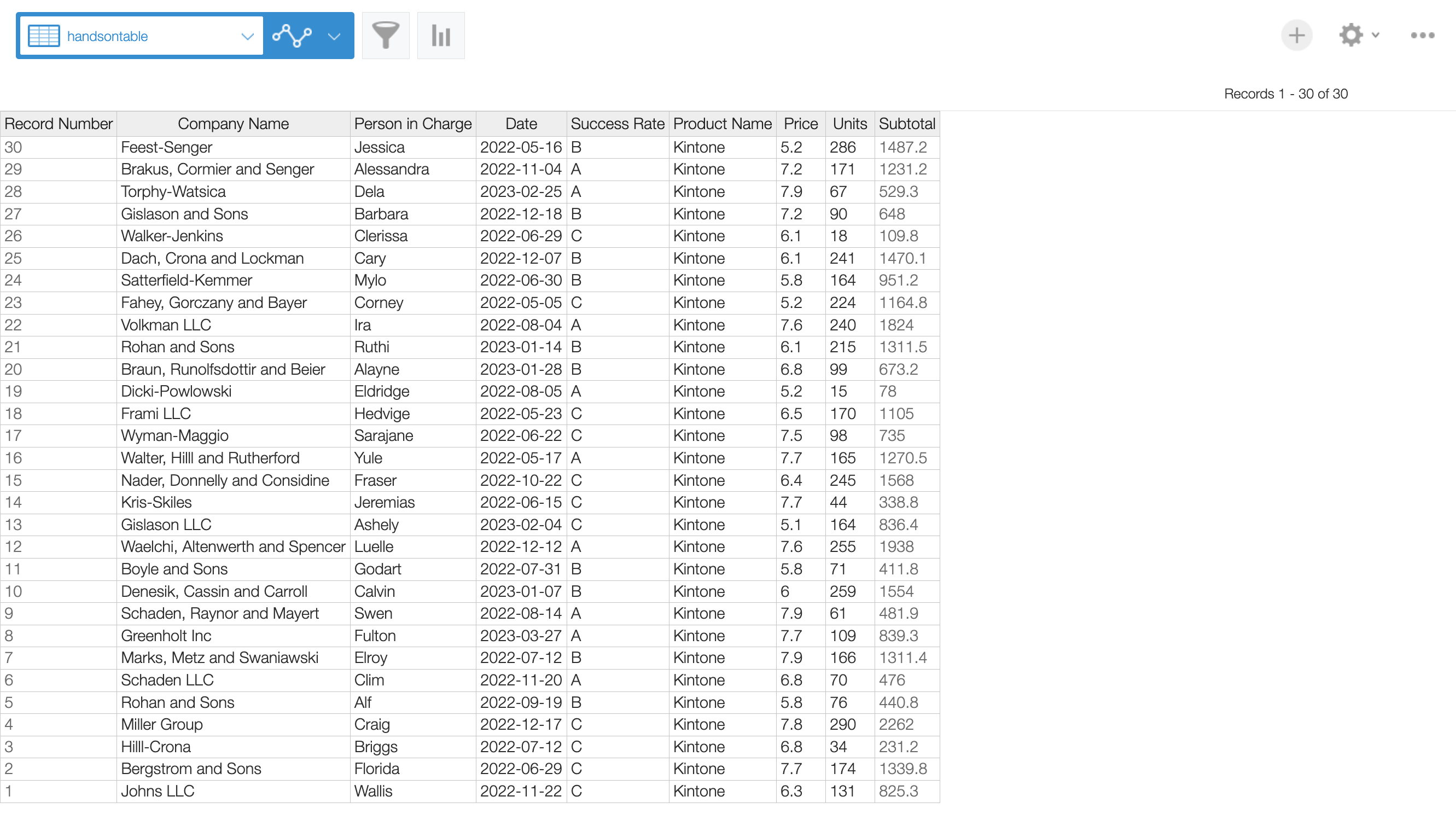 Screenshot: the excel-like view of the records.