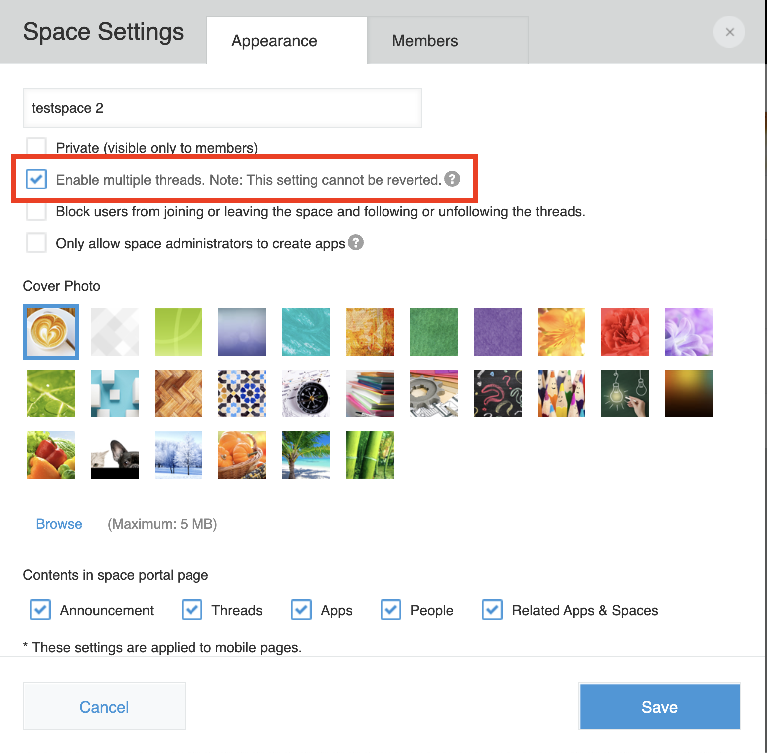 Screenshot: The Space Settings options, with the enable multiple threads option checked.