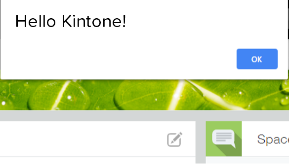 Screenshot: Introduction to Kintone Customizations.