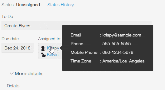 Screenshot: A tooltip displaying information of a user in the User selection field.