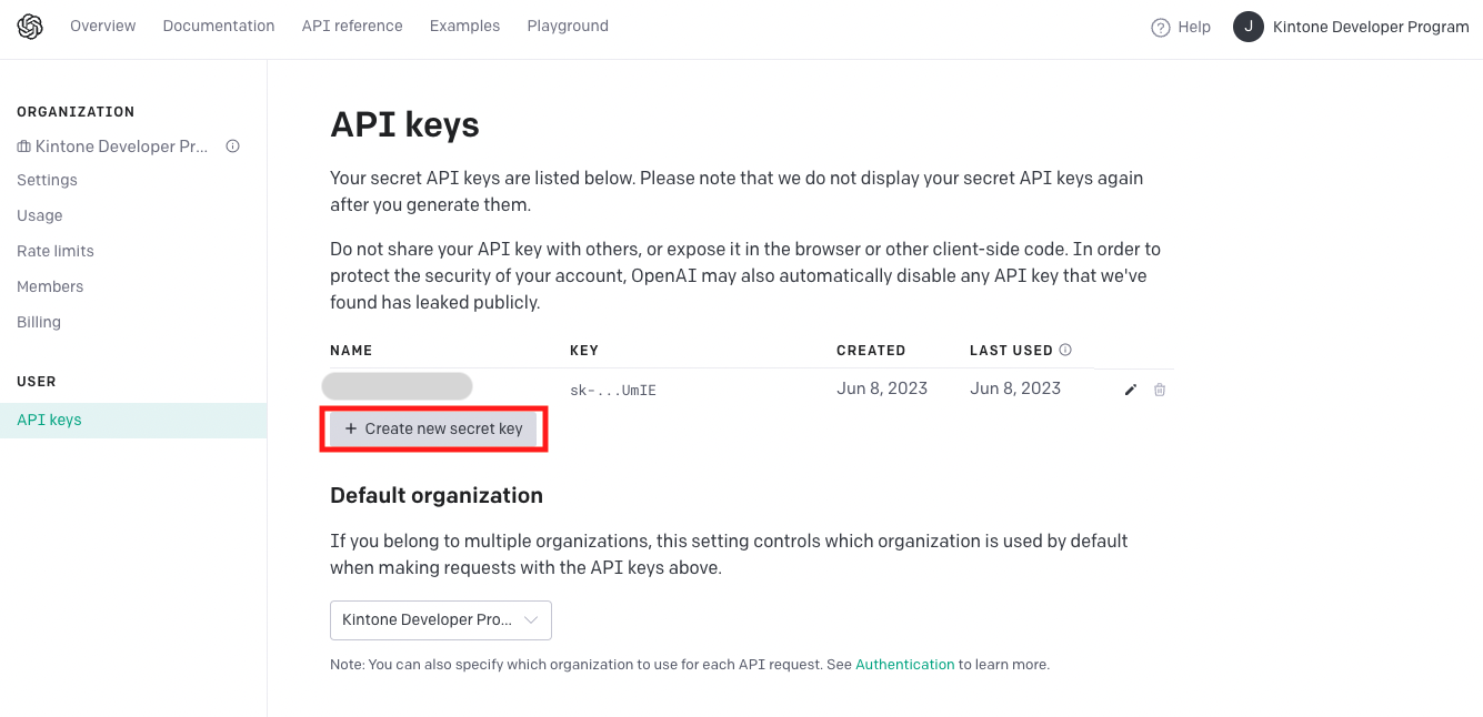 Screenshot: the API Keys page.