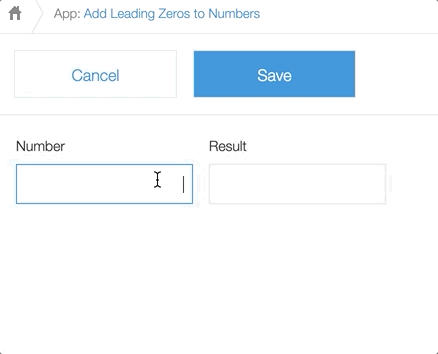 Animated GIF: A user inserting numbers into a Number field, and a number leading with zeros being automatically inserted into another Number field.