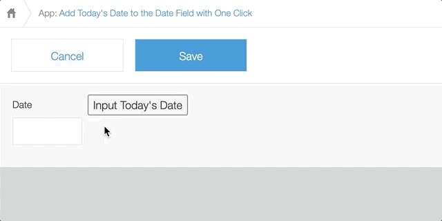 Animated GIF: User clicks the button to add today's day to the date field.