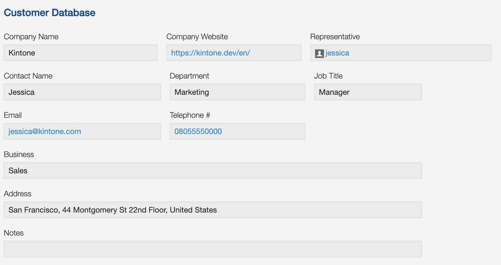 Screenshot: a sample record in the Customer Database App.