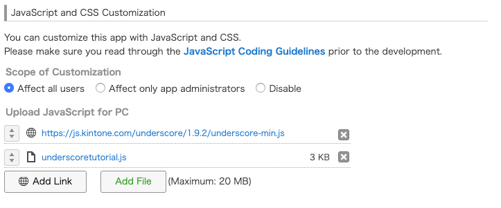 Screenshot: JavaScript and CSS Customization settings