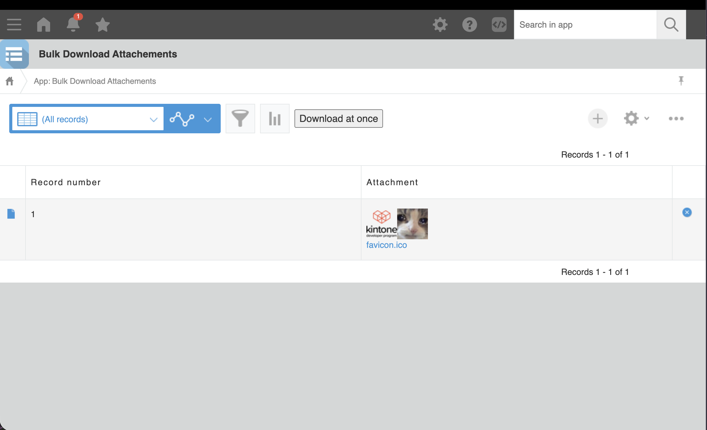 Screenshot: The Bulk Download button added to the record list view page.
