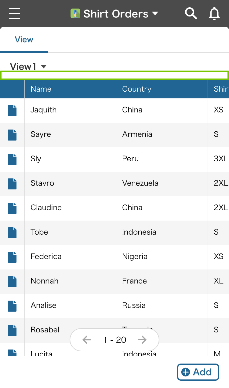 Record List View Screenshot